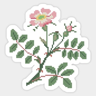 Iowa North Dakota State Flower Wild Prairie Rose Sticker